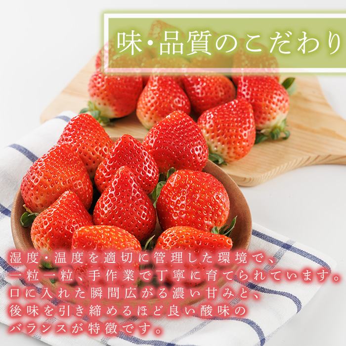 ＜全3回定期便・先行予約受付中！2026年2月上旬～2026年4月下旬に順次発送予定＞ 博多あまおう (総計約1.5kg) いちご 苺 フルーツ 果物 くだもの 福岡限定 家庭用 冷蔵 定期便 ＜離島配送不可＞【ksg1742】【農産物直売所ほたるの里】