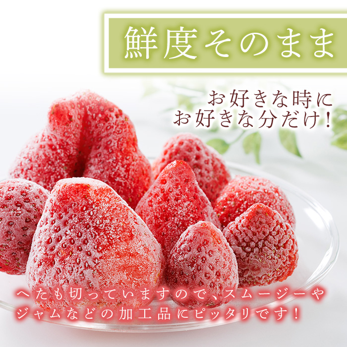 冷凍 博多あまおう (計約1.6kg) いちご イチゴ 苺 あまおう 冷凍いちご 冷凍イチゴ 国産 福岡県 果物 フルーツ アイス シャーベット ジャム スムージー 冷凍フルーツ ＜離島配送不可＞【ksg1744】【農産物直売所ほたるの里】