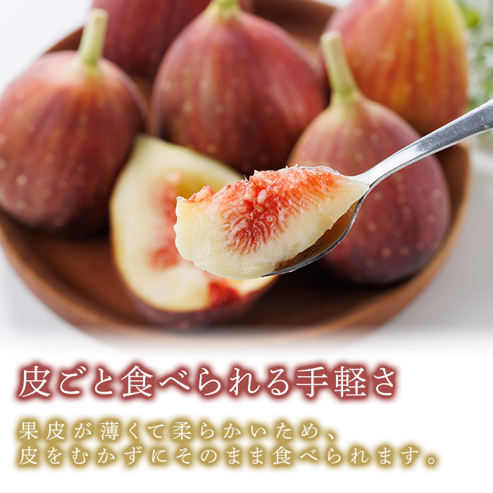 ＜先行予約受付中！2026年8月下旬～2025年10月下旬に順次発送予定＞福岡県ブランドいちじく博多 とよみつひめ (計約1.2kg・300g×4P) いちじく イチジク フルーツ 果物 くだもの 福岡限定 ＜離島配送不可＞【ksg1750】【農産物直売所ほたるの里】