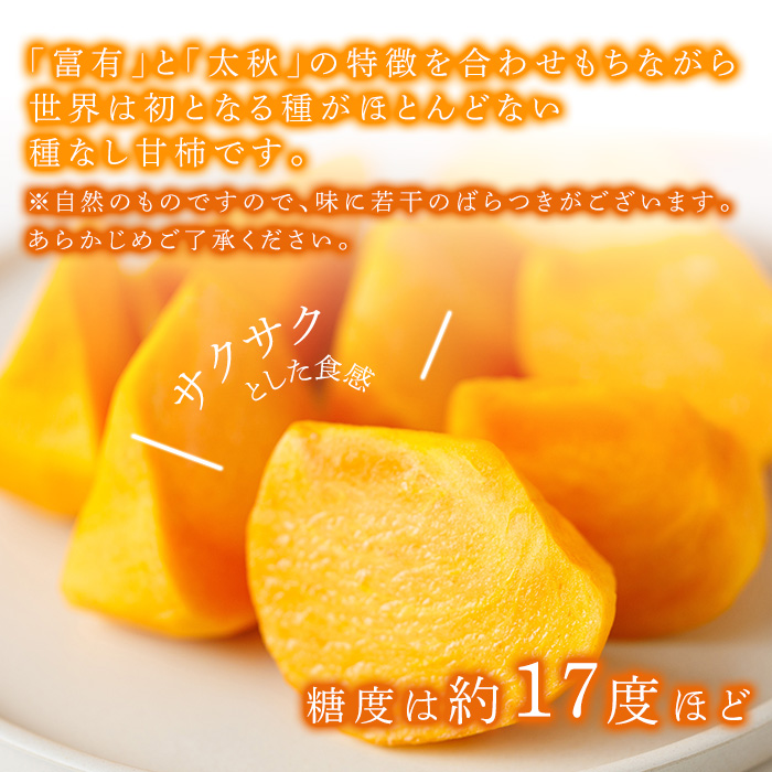 ＜先行予約受付中！2026年10月下旬～11月下旬に順次発送予定＞秋のフルーツの王様・ブランド柿 秋王 (約計1.2kg・3Lサイズ4玉入り) かき カキ フルーツ 果物 くだもの 福岡限定 オリジナルブランド ＜離島配送不可＞【ksg1755】【農産物直売所ほたるの里】