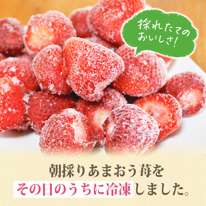 ＜先行予約受付中！2026年2月より順次発送・全6回定期便(隔月)＞冷凍あまおう（計12kg:2kg×6回) いちご イチゴ 苺 あまおう 冷凍いちご 冷凍イチゴ 国産 福岡県 果物 フルーツ アイス ジャム 冷凍フルーツ ＜離島配送不可＞【ksg1787】【うるう農園】