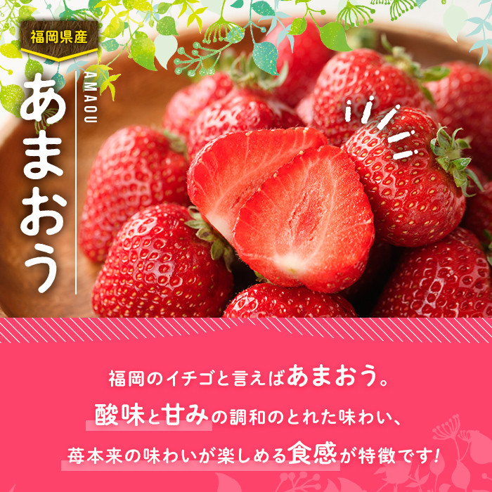 ＜先行予約受付中！2025年11月下旬～2026年3月末に順次発送予定＞あまおう苺 ギフト箱(24-30粒)いちご 苺 フルーツ 果物 くだもの 福岡限定 贈答用 冷蔵 ＜離島配送不可＞【ksg0003】【南国フルーツ】