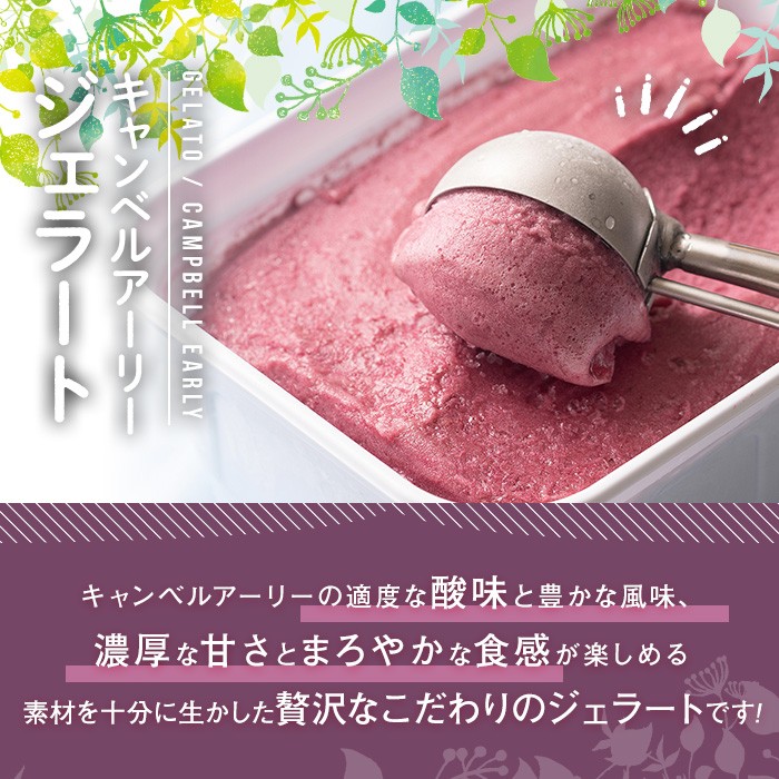 フルーツソムリエが作った濃厚キャンベルアーリージェラート(1L) ぶどう 葡萄 アイス アイスクリーム 手作り スイーツ お土産 ＜離島配送不可＞【ksg0051】【南国フルーツ】