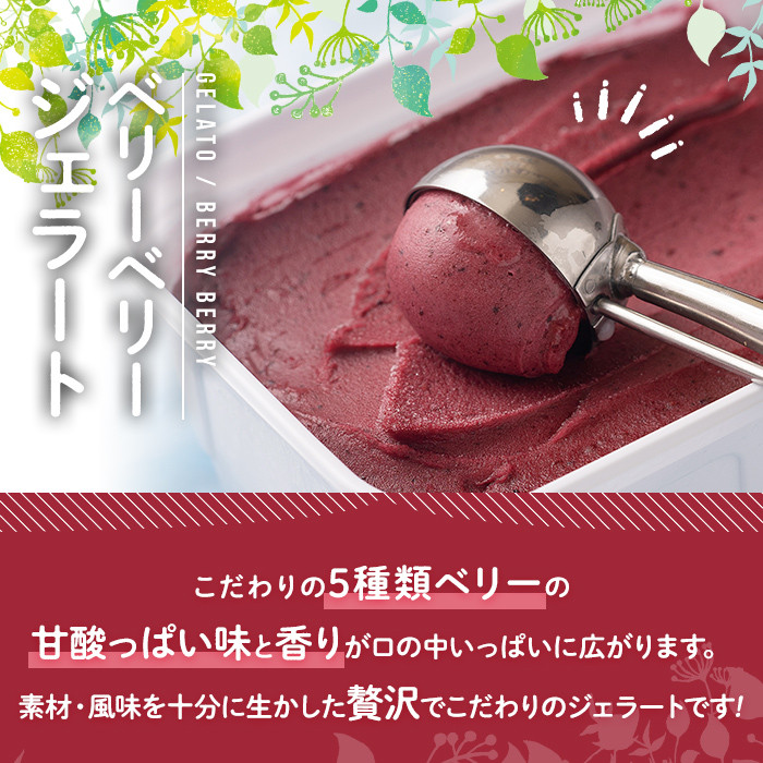 フルーツソムリエが作った濃厚ベリーベリージェラート(1L) アイス アイスクリーム ブルーベリー レッドカラント ラズベリー カシス ブラックベリー 手作り スイーツ ＜離島配送不可＞【ksg0059】【南国フルーツ】