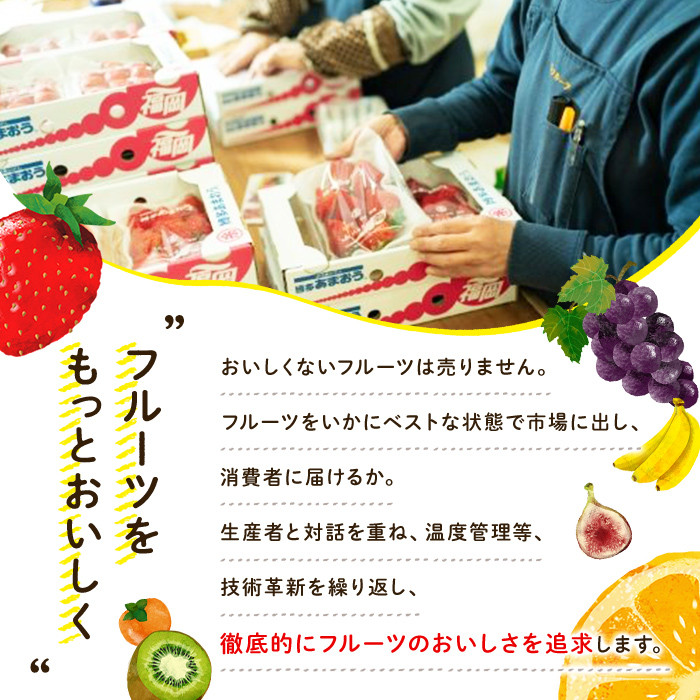 天然熟成天日塩 ナッツ4種セット(200g×4袋・合計800g)ナッツ ピスタチオ カシューナッツ ミックスナッツ アーモンド 素焼きナッツ おつまみ おやつ 晩酌 常温 常温保存【ksg0085-E】【南国フルーツ】