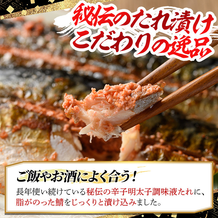 さば明太 16枚 秘伝の辛子明太子液たれ仕込み めんたいこ おつまみ 魚 海鮮 お土産＜離島配送不可＞【ksg0342】【マル五】