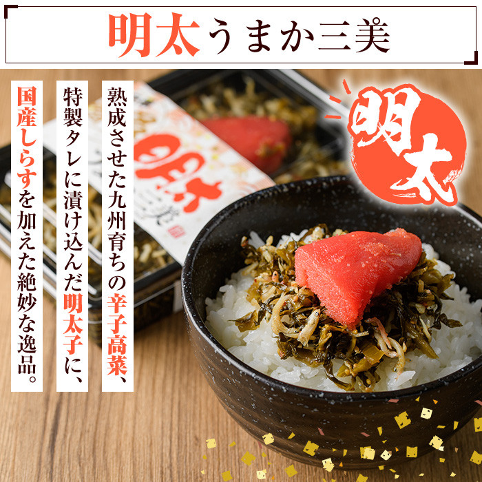 博多うまか三美つくだ煮セット(計760g)辛子高菜 明太高菜 佃煮 つくだ煮 きくらげ ご飯 おにぎり おつまみ 惣菜＜離島配送不可＞【ksg0534】【和生】