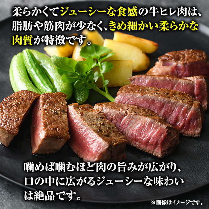 博多和牛ヒレステーキ 自家製ジャポネソース付(100g×5枚)牛肉 和牛 博多和牛 国産 ステーキ ヒレ肉＜離島配送不可＞【ksg1286】【くしだ企画】
