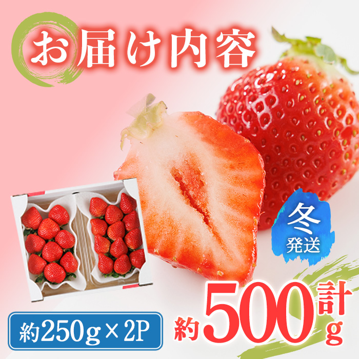 ＜先行予約受付中！2025年12月上旬～2026年1月下旬に順次発送予定＞ 博多あまおう・冬 (計約500g) いちご 苺 フルーツ 果物 くだもの 福岡限定 家庭用 冷蔵＜離島配送不可＞【ksg1736】【農産物直売所ほたるの里】