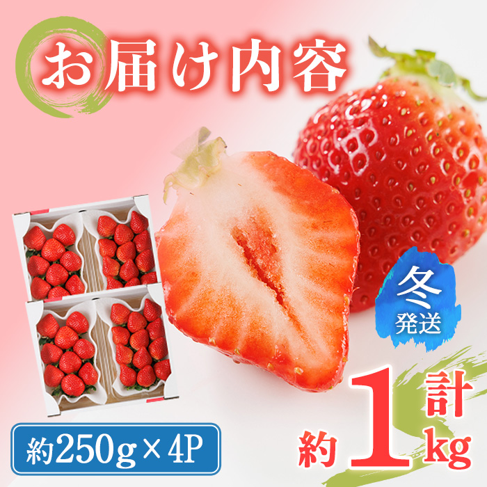 ＜先行予約受付中！2025年12月上旬～2026年1月下旬に順次発送予定＞ 博多あまおう・冬 (計約1kg) いちご 苺 フルーツ 果物 くだもの 福岡限定 家庭用 冷蔵＜離島配送不可＞【ksg1737】【農産物直売所ほたるの里】