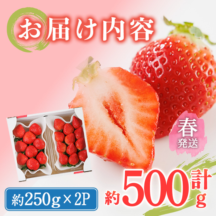 ＜先行予約受付中！2026年2月上旬～2026年4月下旬に順次発送予定＞ 博多あまおう・春 (計約500g) いちご 苺 フルーツ 果物 くだもの 福岡限定 家庭用 冷蔵＜離島配送不可＞【ksg1739】【農産物直売所ほたるの里】