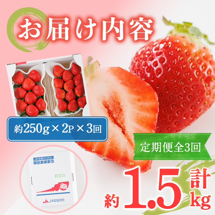 ＜全3回定期便・先行予約受付中！2026年2月上旬～2026年4月下旬に順次発送予定＞ 博多あまおう (総計約1.5kg) いちご 苺 フルーツ 果物 くだもの 福岡限定 家庭用 冷蔵 定期便 ＜離島配送不可＞【ksg1742】【農産物直売所ほたるの里】