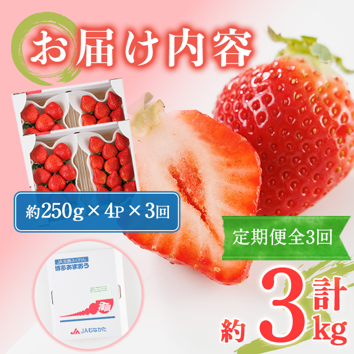 ＜全3回定期便・先行予約受付中！2026年2月上旬～2026年4月下旬に順次発送予定＞ 博多あまおう (総計約3kg) いちご 苺 フルーツ 果物 くだもの 福岡限定 家庭用 冷蔵 定期便 ＜離島配送不可＞【ksg1743】【農産物直売所ほたるの里】