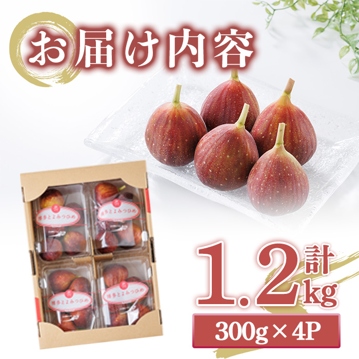 ＜先行予約受付中！2026年8月下旬～2025年10月下旬に順次発送予定＞福岡県ブランドいちじく博多 とよみつひめ (計約1.2kg・300g×4P) いちじく イチジク フルーツ 果物 くだもの 福岡限定 ＜離島配送不可＞【ksg1750】【農産物直売所ほたるの里】