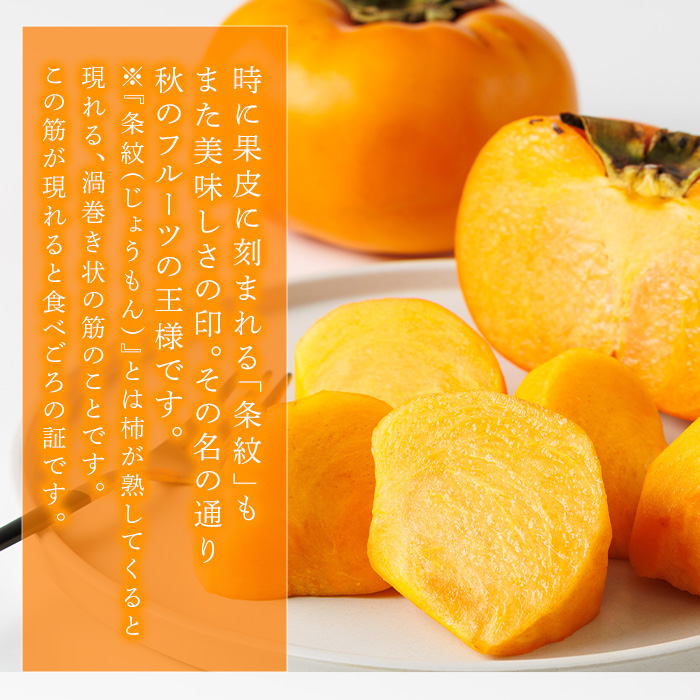 ＜先行予約受付中！2026年10月下旬～11月下旬に順次発送予定＞秋のフルーツの王様・ブランド柿 秋王 化粧箱入り (約計1.75kg・6個入り) かき カキ フルーツ 果物 くだもの 福岡限定 オリジナルブランド 化粧箱 ＜離島配送不可＞【ksg1754】【農産物直売所ほたるの里】