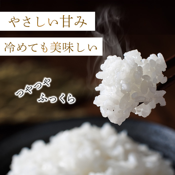 ＜訳あり・簡易包装＞＜数量限定＞元気つくし 精白米 (5kg)お米 米 精白米 訳あり 国産 福岡県産 ブランド米 5kg 数量限定 常温＜北海道・沖縄・離島配送不可＞【ksg1780】