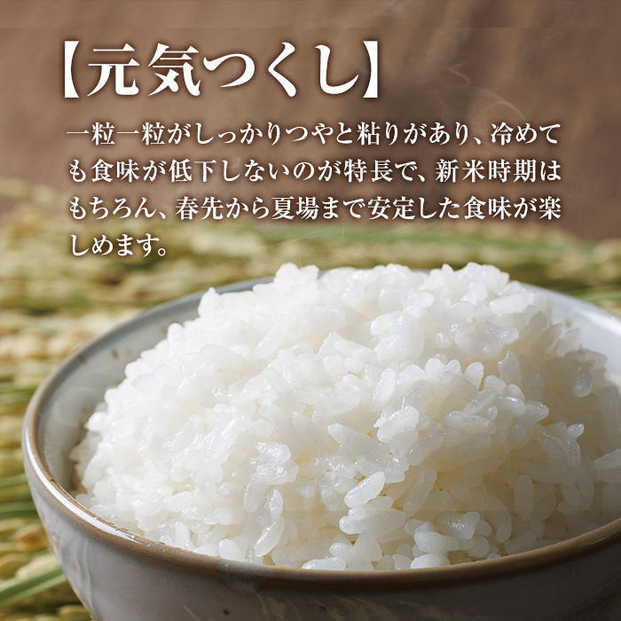 ＜数量限定＞JAよりお届け！福岡県産米 元気つくし (計10kg)お米 おこめ 米 こめ コメ 白米 福岡県産 ブランド米 常温 常温保存【農産物直売所ほたるの里】【ksg1814】