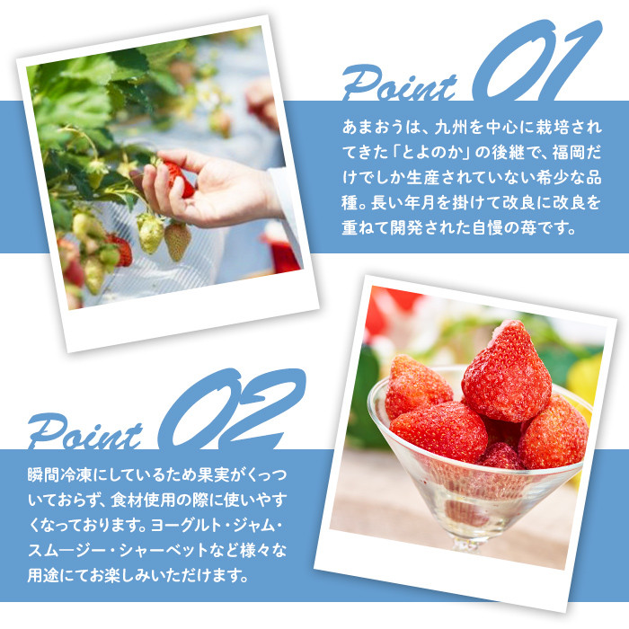 ＜先行予約受付中！2026年4月より順次発送＞冷凍あまおう苺(約500g×2袋・計1kg)いちご イチゴ 冷凍 シャーベット 冷凍いちご ヨーグルト ジャム ＜離島配送不可＞【ksg0046】【南国フルーツ】