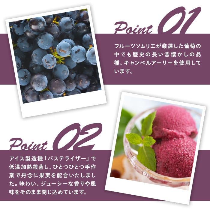 フルーツソムリエが作った濃厚キャンベルアーリージェラート(1L) ぶどう 葡萄 アイス アイスクリーム 手作り スイーツ お土産 ＜離島配送不可＞【ksg0051】【南国フルーツ】