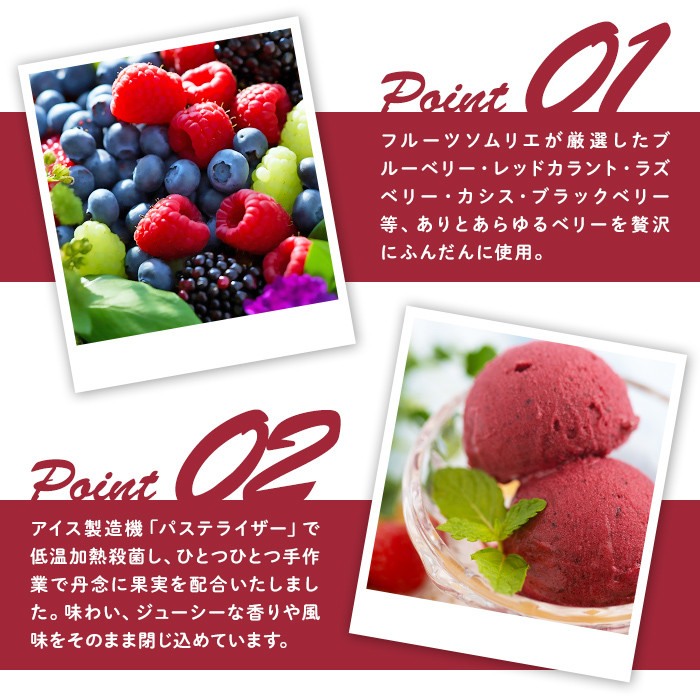 フルーツソムリエが作った濃厚ベリーベリージェラート(1L) アイス アイスクリーム ブルーベリー レッドカラント ラズベリー カシス ブラックベリー 手作り スイーツ ＜離島配送不可＞【ksg0059】【南国フルーツ】