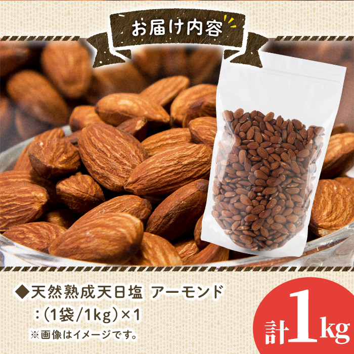 天然熟成天日塩 アーモンド(1kg)ナッツ アーモンド 素焼きナッツ おつまみ おやつ 晩酌【ksg0085-B】【南国フルーツ】