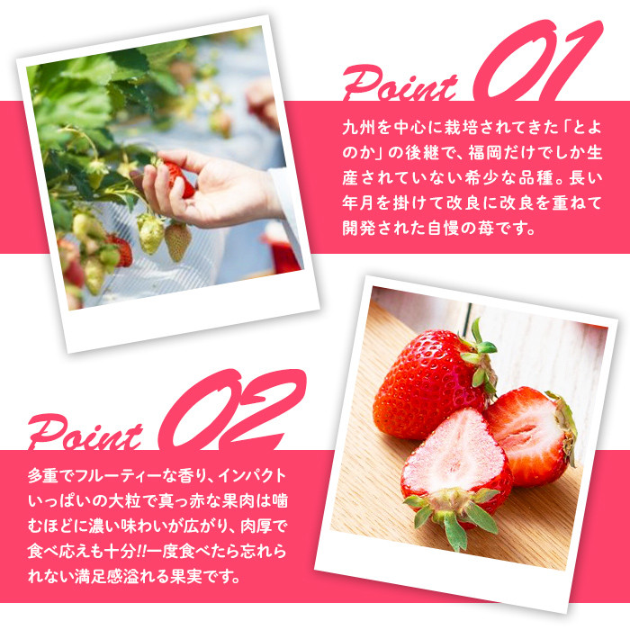 ＜先行予約受付中！2026年2月上旬～2026年3月末に順次発送予定＞あまおう苺・春(6P)いちご 苺 フルーツ 果物 くだもの 福岡限定 家庭用 冷蔵 ＜離島配送不可＞【ksg0101】【南国フルーツ】