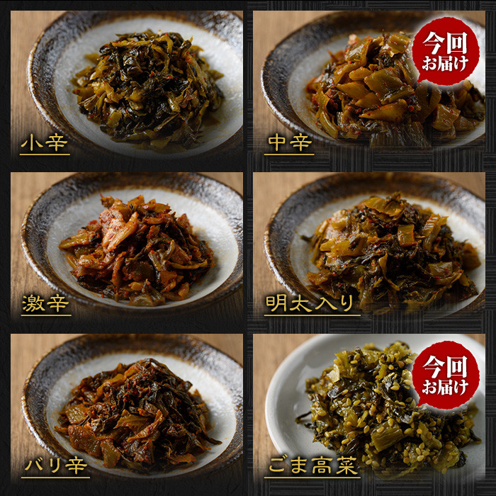 贅沢つけものセット(5種・合計約1kg) 高菜 辛子高菜 らっきょう らっきょ 梅ひじき つくだ煮 まぜてんしゃい 漬物 ご飯 チャーハン ラーメン おにぎり お茶漬け 【ksg0154】【樽味屋】