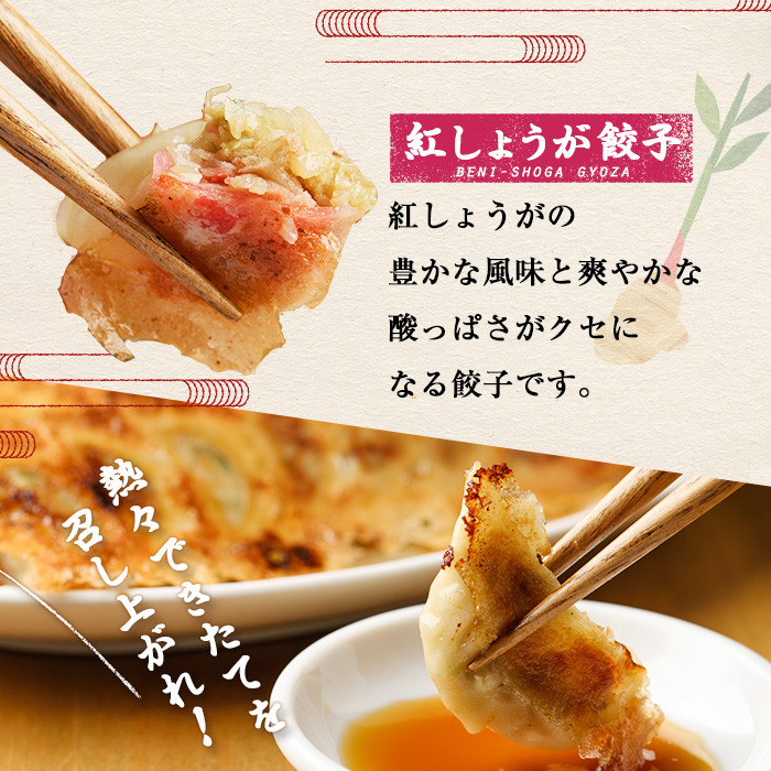 博多骨折り餃子と紅しょうが餃子(合計100個・餃子50個＋紅しょうが餃子50個)冷凍 一口 ひとくち ぎょうざ ギョウザ 手作り 国産 紅ショウガ 焼くだけ 簡単 タレ付き＜離島配送不可＞【ksg0540-B】【骨折り餃子貴月】