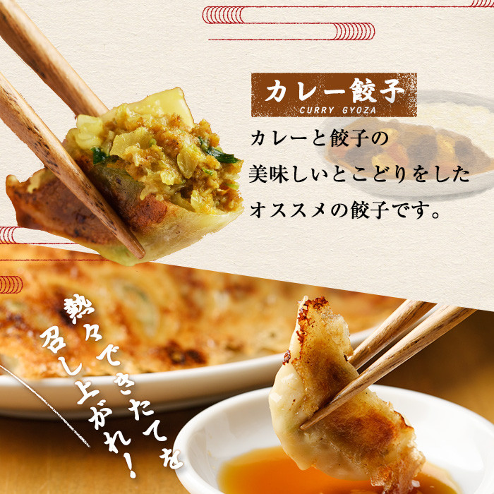 博多骨折り餃子とカレー餃子(合計100個・餃子50個＋カレー餃子50個)冷凍 一口 ひとくち ぎょうざ ギョウザ 手作り 国産 焼くだけ 簡単 タレ付き＜離島配送不可＞【ksg0540-C】【骨折り餃子貴月】