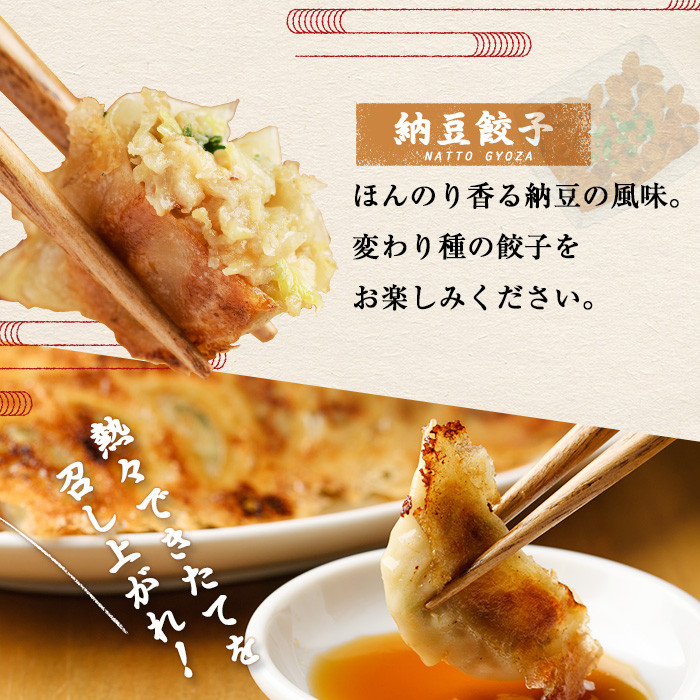 博多骨折り餃子と納豆餃子(合計100個・餃子50個＋納豆餃子50個)冷凍 一口 ひとくち ぎょうざ ギョウザ 手作り 国産 焼くだけ 簡単 タレ付き＜離島配送不可＞【ksg0540-D】【骨折り餃子貴月】