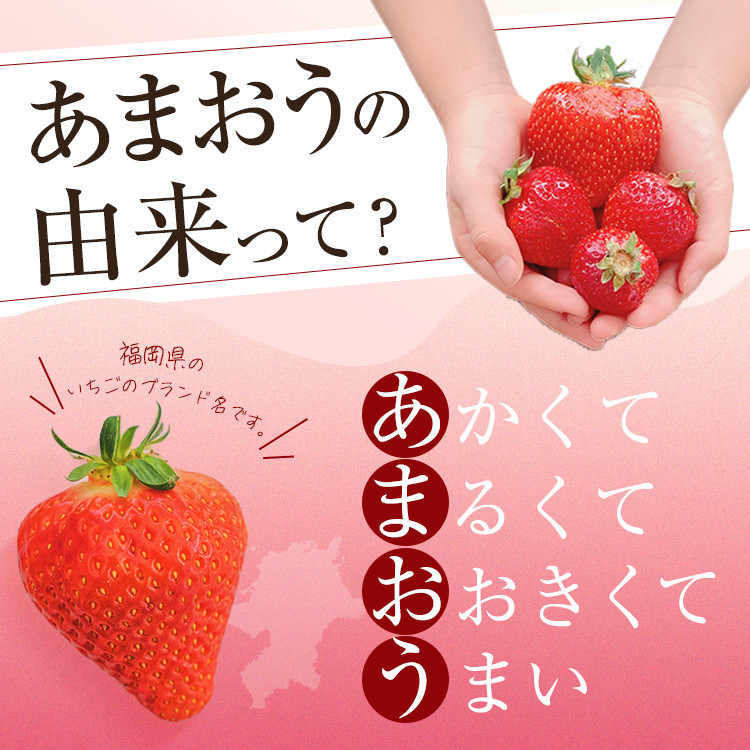 ＜予約受付中！2026年2月より順次発送予定＞うるう農園のスタンダードあまおう(計1.14kg・285g×4P) ふるさと納税 春日市 特産品 苺 いちご イチゴ 果物 フルーツ 国産 福岡県 ヨーグルト ジャム スムージー 冷蔵 特別栽培＜離島配送不可＞【ksg1219】【うるう農園】