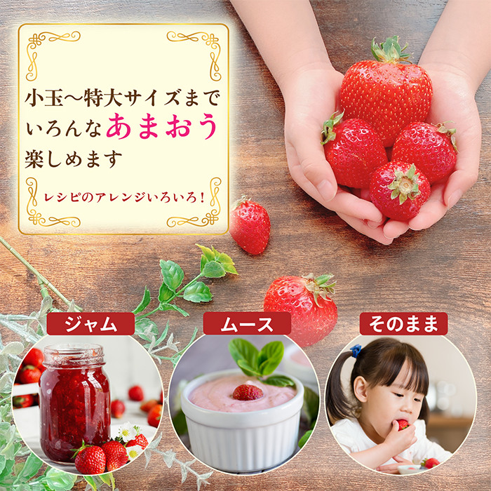 ＜予約受付中！2026年2月より順次発送予定＞＜不揃い＞あまおう(計1.14kg・285g×4P) 苺 いちご イチゴ フルーツ 果物 ヨーグルト ジャム スムージー 冷蔵 特別栽培 福岡県 国産＜離島配送不可＞【ksg1222】【うるう農園】