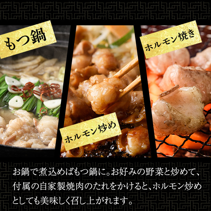 博多和牛もつ鍋用ホルモン 自家製焼肉のたれ付(500g) 牛肉 和牛 博多和牛 国産 ホルモン もつ モツ もつ鍋 ＜離島配送不可＞【ksg1291】【くしだ企画】