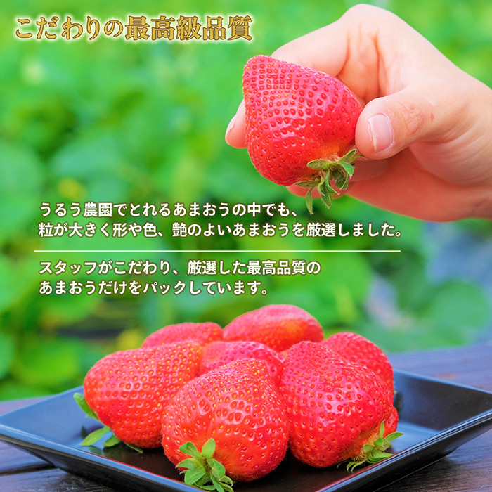 ＜予約受付中！2026年2月より順次発送予定＞特選あまおう(約800g)  苺 いちご イチゴ 国産 福岡県 果物 フルーツ ヨーグルト ジャム スムージー 冷蔵 特別栽培＜離島配送不可＞【ksg1319】【うるう農園】