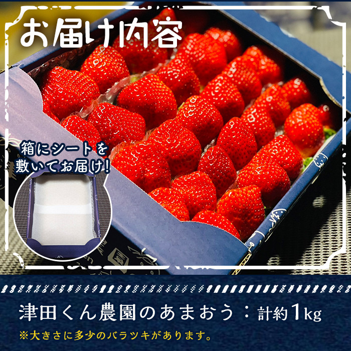 ＜先行予約受付中！2026年1月上旬から2026年2月末にかけて順次発送予定＞福岡県産いちご 津田くん農園のあまおう(計約1kg) 苺 いちご イチゴ フルーツ 果物 くだもの 数量限定 期間限定＜離島配送不可＞【ksg1323】【くしだ企画】