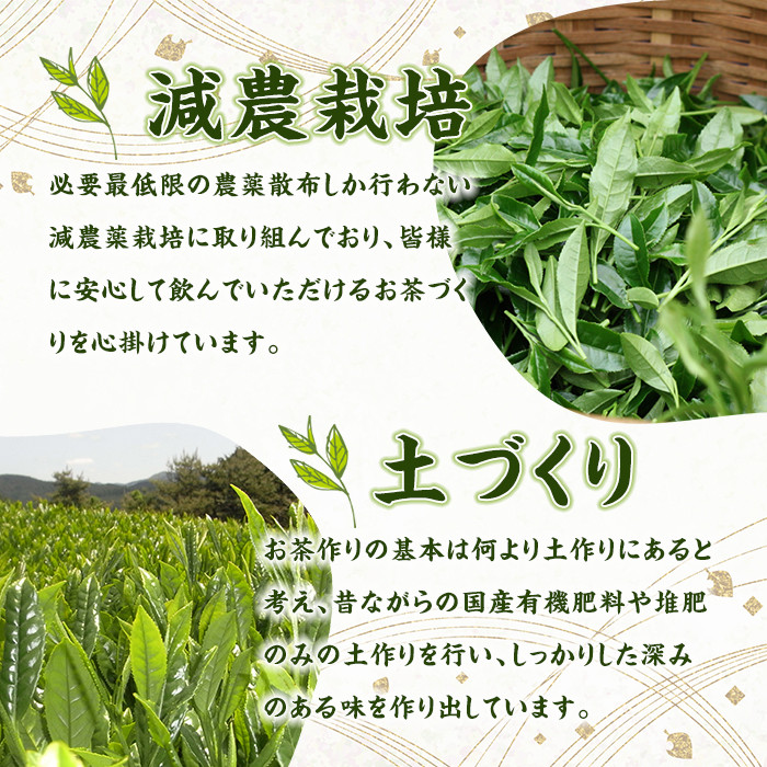 ＜定期便・全6回(連続)＞奥八女星野村 深蒸し高級煎茶(総量600g・100g×1袋×6回) 八女茶 緑茶 せん茶 おちゃ お茶 やめ 深蒸し茶  常温 常温保存【ksg1346】【おどろきっちん】