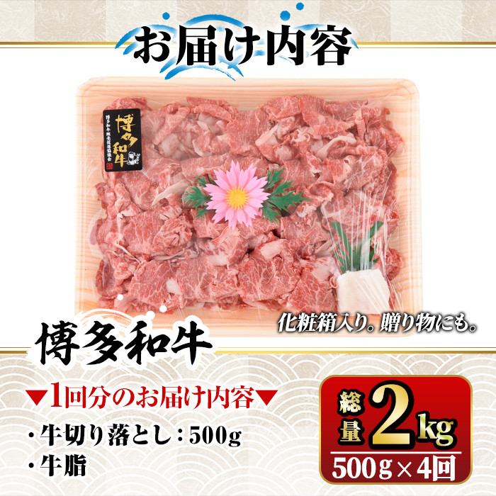 【ksg1369】＜定期便・全4回(連続)＞博多和牛A5～A4 切り落とし(総量2kg) 牛肉 黒毛和牛 国産 霜降り化粧箱 贈答 ギフト プレゼント ＜離島配送不可＞【マル五】