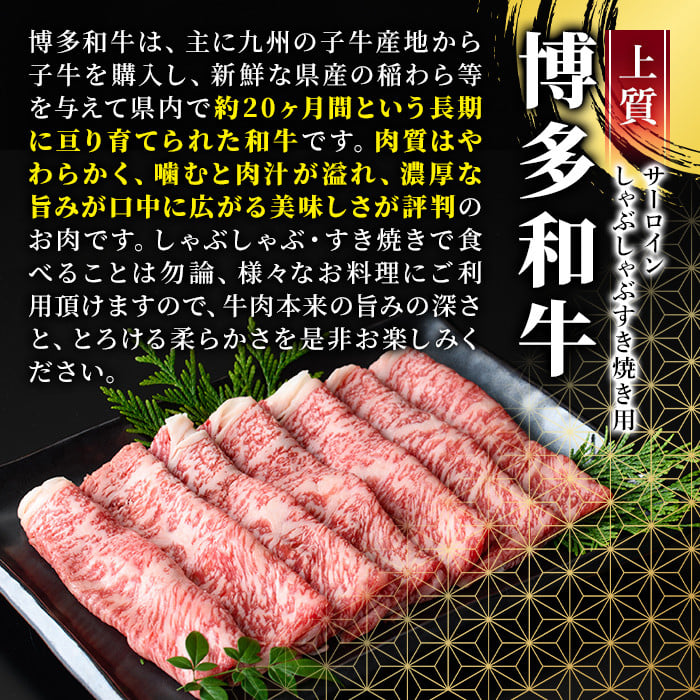 厳選部位 博多和牛サーロインしゃぶしゃぶすき焼き用(計600g・300g×2P)牛肉 黒毛和牛 国産 焼き肉 BBQ 化粧箱 贈答 ギフト プレゼント ＜離島配送不可＞【ksg1401】【MEATPLUS】