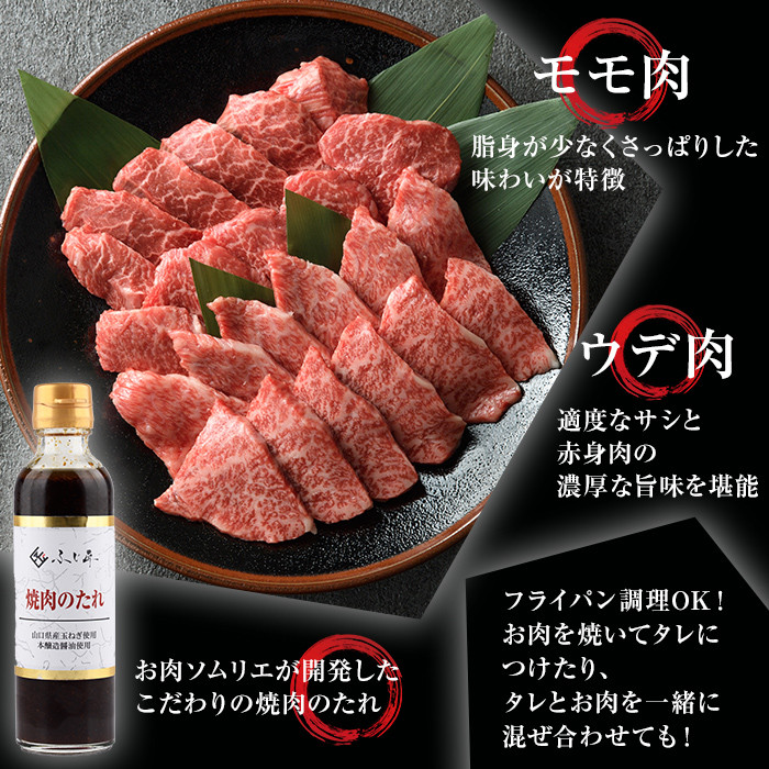 博多和牛モモ・ウデ焼肉用(400g・お肉ソムリエ開発焼肉のたれ付) お肉 肉 牛肉 博多和牛 国産 モモ肉 ウデ肉 焼肉 焼き肉 バーベキュー BBQ ＜離島配送不可＞【ksg1564】【富士商】