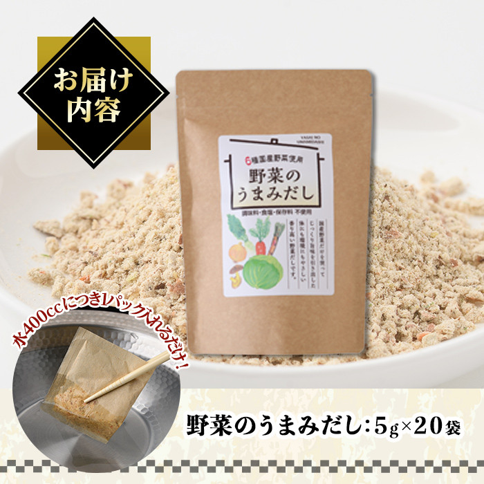 野菜のうまみだし(100g・5g×20袋) だしパック 出汁 出汁パック ダシ 椎茸 しいたけ シイタケ キャベツ 人参 大根 玉ねぎ ごぼう 個包装 小分け 離乳食 介護食 炊き込みご飯 鍋 調味料不使用 塩分不使用 保存料不使用 常温 常温保存【ksg1585】【宝山九州】