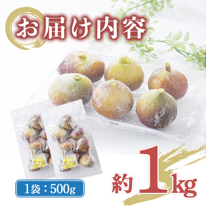 ＜不揃い・訳あり＞ 冷凍いちじく博多 とよみつひめ (計約1kg) 冷凍 いちじく イチジク フルーツ 果物 くだもの 福岡限定 オリジナルブランド＜離島配送不可＞【ksg1756】【農産物直売所ほたるの里】