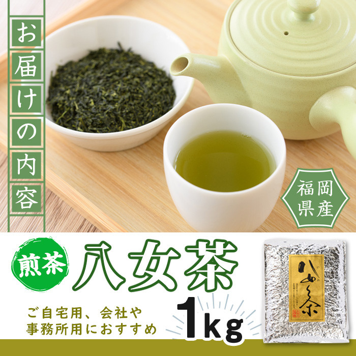 八女茶(計1kg) お茶 緑茶 煎茶 茶葉 常温 常温保存【ksg0019】【お茶の星陽園】
