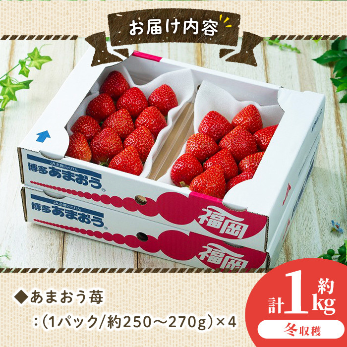 ＜先行予約受付中！2025年11月下旬～2026年1月下旬に順次発送予定＞あまおう苺・冬(4P)いちご 苺 フルーツ 果物 くだもの 福岡限定 家庭用 冷蔵＜離島配送不可＞【ksg0031】【南国フルーツ】