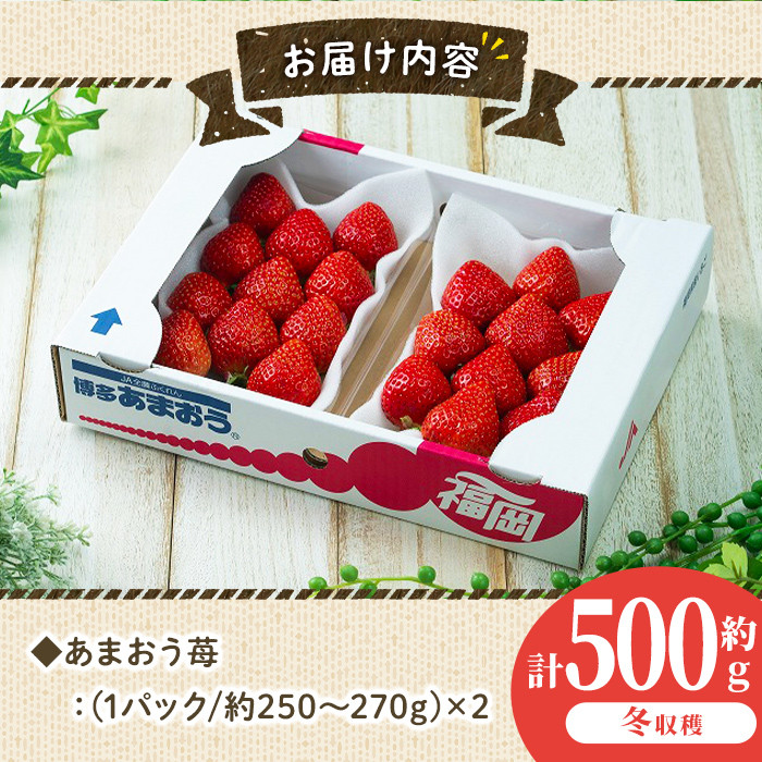 ＜先行予約受付中！2025年11月下旬～2026年1月下旬に順次発送予定＞あまおう苺・冬(2P)いちご 苺 フルーツ 果物 くだもの 福岡限定 家庭用 冷蔵 ＜離島配送不可＞【ksg0032】【南国フルーツ】