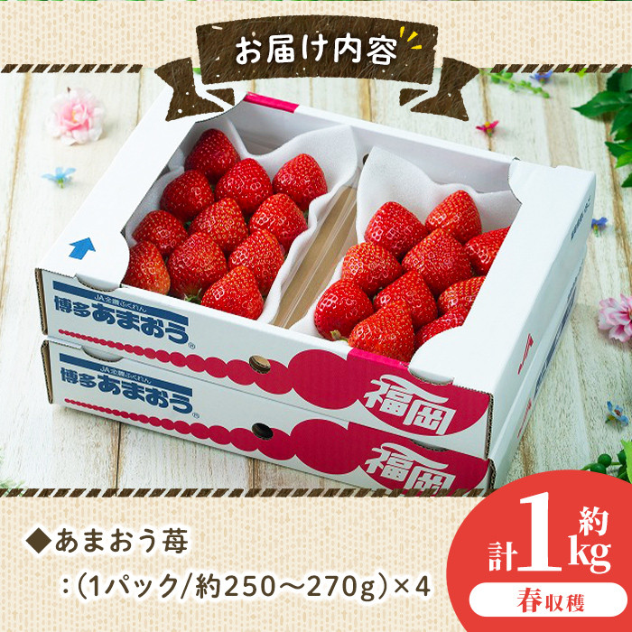 ＜先行予約受付中！2026年2月上旬～2026年3月末に順次発送予定＞あまおう苺・春(4P)いちご 苺 フルーツ 果物 くだもの 福岡限定  家庭用 冷蔵 ＜離島配送不可＞【ksg0045】【南国フルーツ】