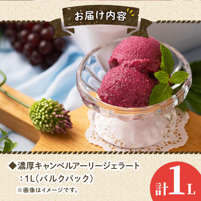 フルーツソムリエが作った濃厚キャンベルアーリージェラート(1L) ぶどう 葡萄 アイス アイスクリーム 手作り スイーツ お土産 ＜離島配送不可＞【ksg0051】【南国フルーツ】