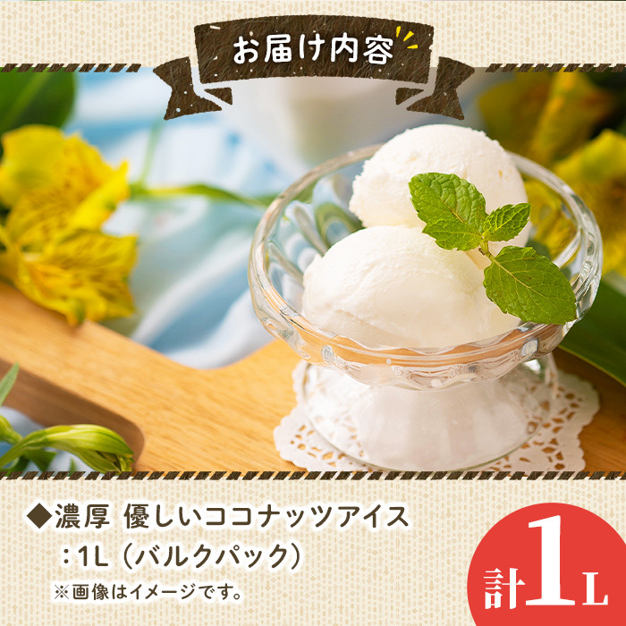 フルーツソムリエが作った濃厚優しいココナッツアイス(1L) アイス アイスクリーム ココナツ 手作り スイーツ ＜離島配送不可＞【ksg0055】【南国フルーツ】