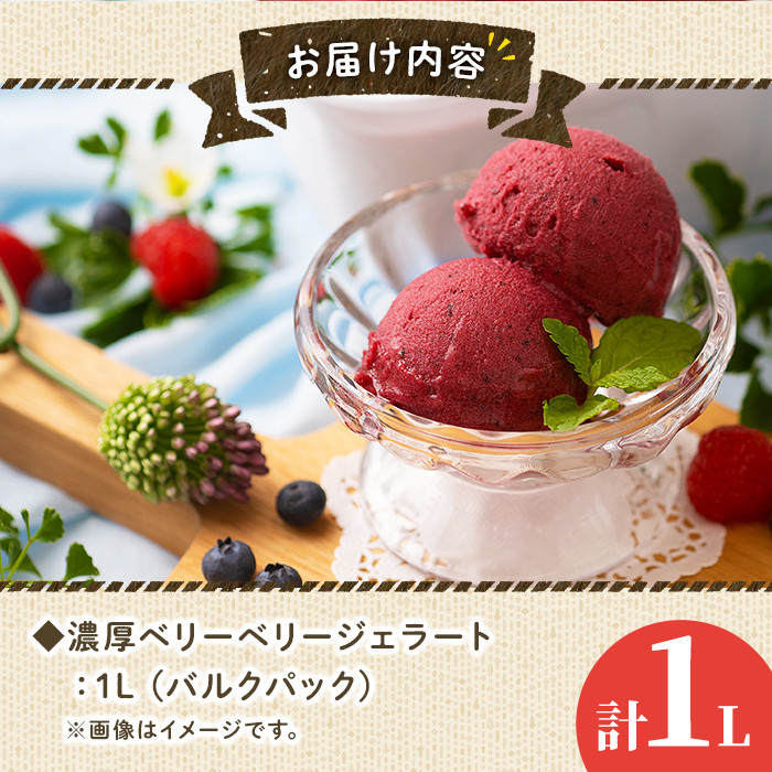 フルーツソムリエが作った濃厚ベリーベリージェラート(1L) アイス アイスクリーム ブルーベリー レッドカラント ラズベリー カシス ブラックベリー 手作り スイーツ ＜離島配送不可＞【ksg0059】【南国フルーツ】