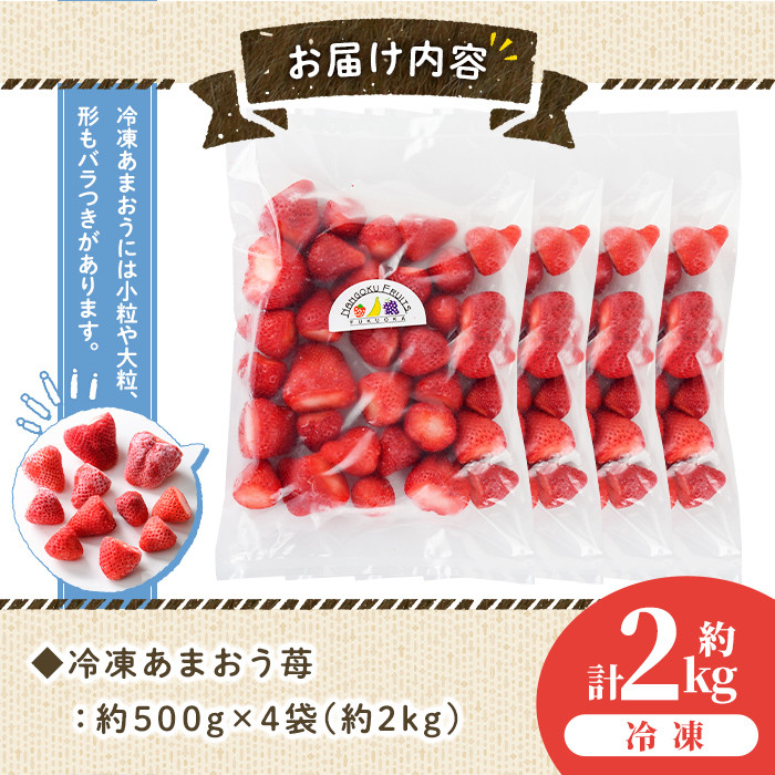 ＜先行予約受付中！2026年4月より順次発送＞苺の王様！冷凍あまおう苺(計2kg・約500g×4袋)ふるさと納税 春日市 特産品 いちご イチゴ 冷凍 シャーベット ヨーグルト ジャム＜離島配送不可＞【ksg0065】【南国フルーツ】