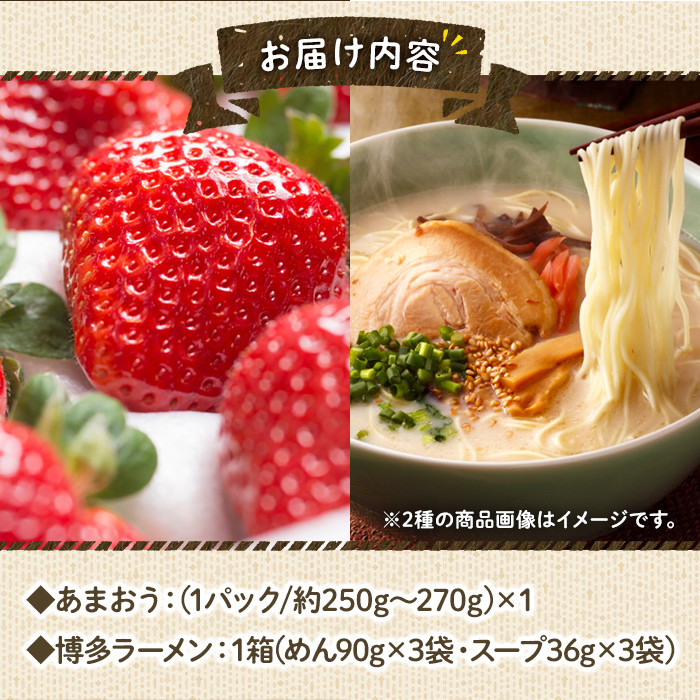 ＜先行予約受付中！2025年11月下旬～2026年3月末に順次発送予定＞あまおう・博多豚骨ラーメンセット(あまおう1P＋豚骨ラーメン1箱)豚骨ラーメン とんこつラーメン いちご 苺 フルーツ 果物 くだもの 豚骨＜離島配送不可＞【ksg0068】【南国フルーツ】